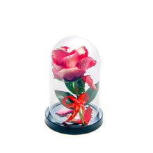 Trandafir Rosu Plastic, Cupola Sticla, Decorativ